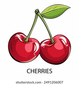 Cherries in cartoon style on a white background. Vector illustration.