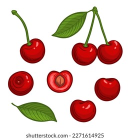 Cherries in cartoon style. Vector set of cherries.