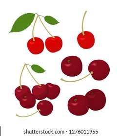 Cherries collection. Cherry and merry on white background. Vector illustration