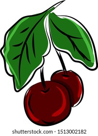 Cherries drawing, illustration, vector on white background.