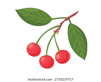Cherries. Flat vector clipart illustration with isolated background.