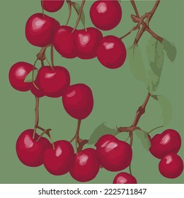 Cerezas, cerezas voladoras Dibujo de dibujos en vectores de ilustraciones