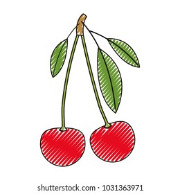 cherries fresh fruit icon