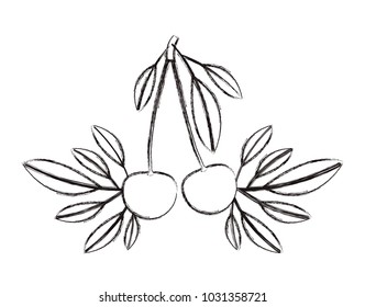 cherries fresh fruit with leafs frame