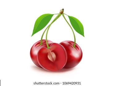 Cherries fruit of berries isolated on white background, Realistic vector 3D illustration. Of free space for your texts and branding.