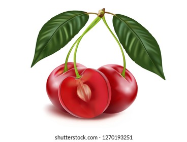 Cherries fruit of berries isolated on white background, Realistic vector 3D illustration. Of free space for your texts and branding.