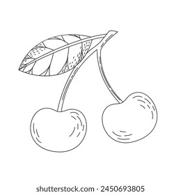 Dibujado a mano doodle boceto de cerezas. Dibujo para colorear con una fruta. Ilustración vectorial de arte en línea sobre un fondo blanco