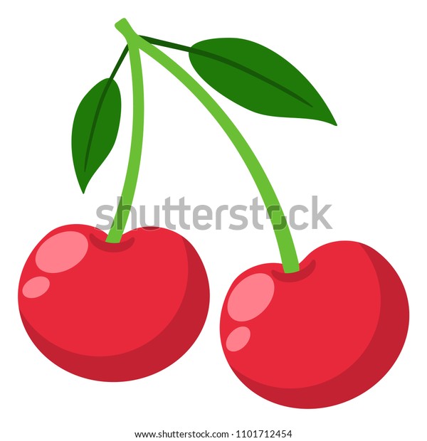 Cherries Illustration Pair Cherries Stems Leaves Stock Vector Royalty Free 1101712454 9933