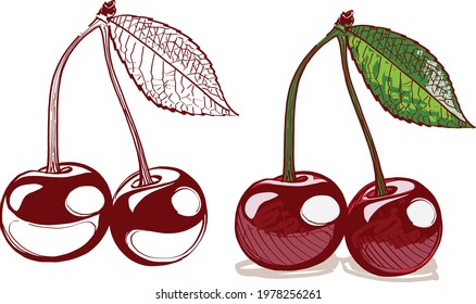cherries isolated on white background
