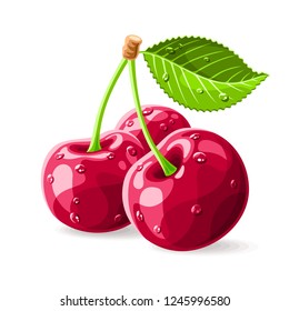 Cherries with a leaf and drops of water on white. Vector illustration. No gradients