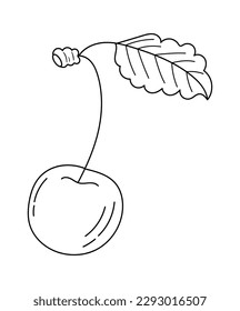 Arándanos con hoja en línea Dibujo arte. Ilustración vectorial
