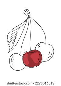 Arándanos con hoja en línea Dibujo arte. Ilustración vectorial