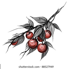 cherries with leaves