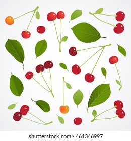 Cherries and leaves on white background. Vector illustration.
