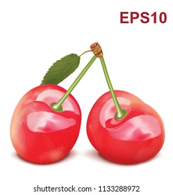 Cherries with leaves. Vector illustration