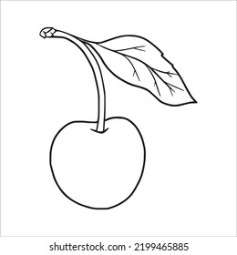 Cherries line art,Cherries vector art,Cherries line drawing,Cherries outline drawing and illustrations