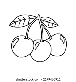 Cherries line art,Cherries vector art,Cherries line drawing,Cherries outline drawing and illustrations