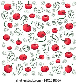 Cherries on the background of leaves. Texture. Colored cherries on the background of contour leaves. Vector illustration.