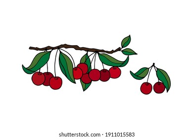 Cerezas en una rama. Ilustración de material vectorial eps10. Aislar sobre fondo blanco. Dibujo manual. 