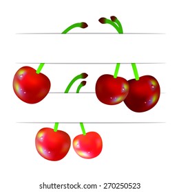 Cherries on the curved white background , 3D paper, web design, vector, eps10