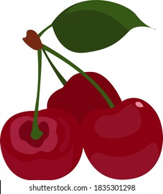 Kirschen auf Baum, Illustration, Vektorgrafik auf weißem Hintergrund