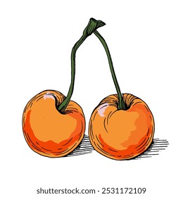 Cerezas sobre un fondo blanco, ilustración dibujada a mano de cereza aislada sobre fondo transparente recorte
