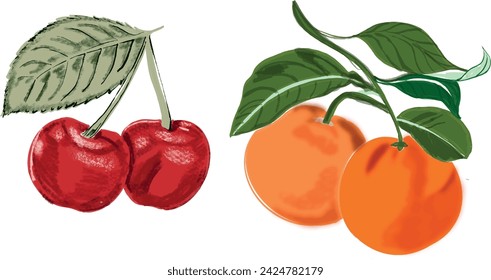 Cherries and oranges, handmade fruit illustration. Fruits are in fashion trend this summer, ideal for decoration and fashion prints.