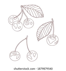 Cherries outlined contour on white background. Cherries outline vector image. Berries icon with leaf. Coloring pages for adults and children.