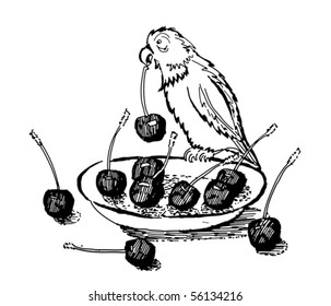 Cherries and a Parrot