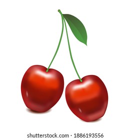 Cherries photo realistic 3d icon isolated on white background gradient mesh vector illustration. Two ripe red cherries berries with leaves isolated delicious, sweet fruits.