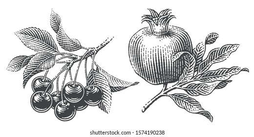 Cherries and pomegranate composition set. Hand drawn engraving style illustrations.