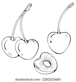 Cherries set. Whole cherries on a stalk, half a cherry. Vector illustration in hand drawn sketch doodle style. Line art natural fruit isolated on white. Close up summer fruit. Coloring book page