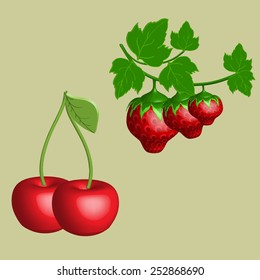 Cherries and strawberries vector. Bulk fruit, vector illustration.