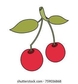 Cherries sweet fruit