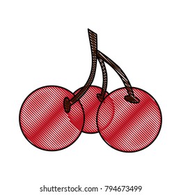 Cherries sweet fruit