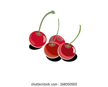 Cherries vector drawing
