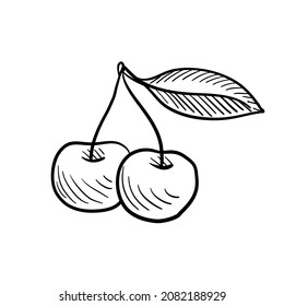 cherries, vector drawing sketch of berry isolated at white background,hand drawn illustration
