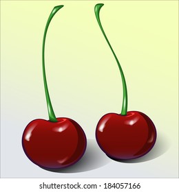 Cherries. Vector illustration