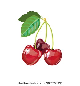 Cherries vector illustration