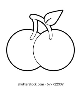 cherries vector illustration