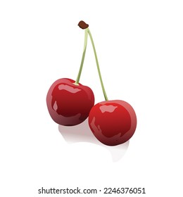 Cherries vector illustration. Delicious cherries and vitamins 3D design.