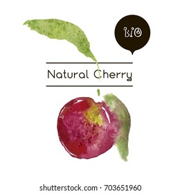 Cherries vector illustration. Hand drawn watercolor painting cherry on white background. Vector ripe fresh nature cherry. Watercolour of ripe cherry with paper texture and green leaf.
