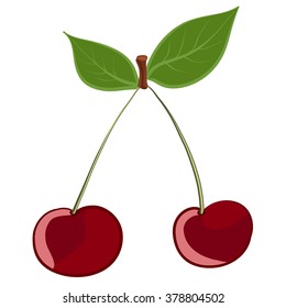 Cherries. Vector illustration isolated on white background.