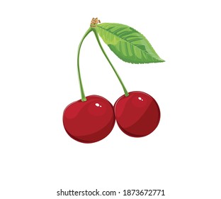 Cherries vector isolated on white background