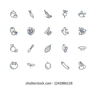 Cherries, Zucchini, Rambutan, Basil, Persimmon, Beetroot, Ginger, shallots, Tangerine, Raspberry, Chili outline vector icons from 20 set