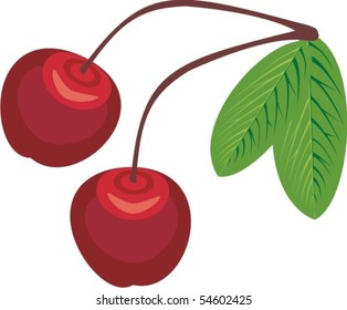 cherry