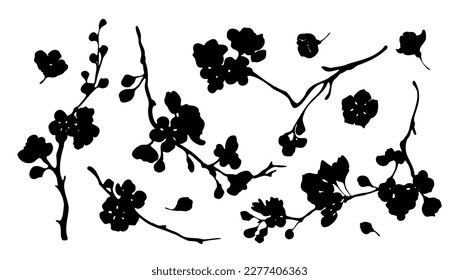 Cherry or apple blossom branches black silhouette set on white background. Hand drawn vector design elements. Monochrome spring blooming tree branches with flowers collection.