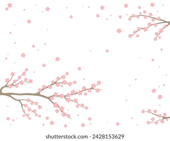 Cherry, apple, plum blossoms, fruit tree branches in bloom, pink spring flowers on transparent background, copy space. Flat style vector illustration. Design concept seasonal poster, banner, promotion