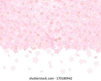 Cherry background
