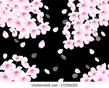 Cherry background